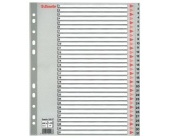 Plastov roztiovae Esselte MAXI s oznaenm 1-31